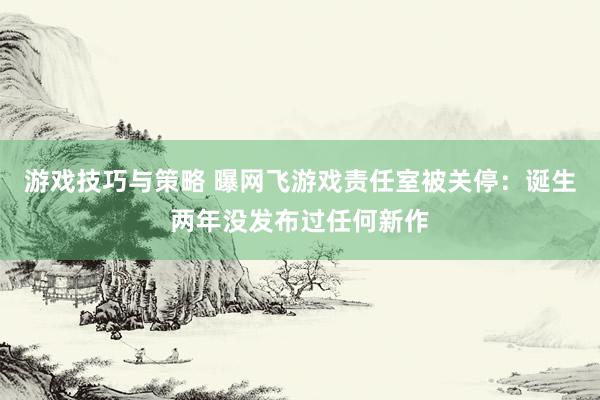 游戏技巧与策略 曝网飞游戏责任室被关停：诞生两年没发布过任何新作