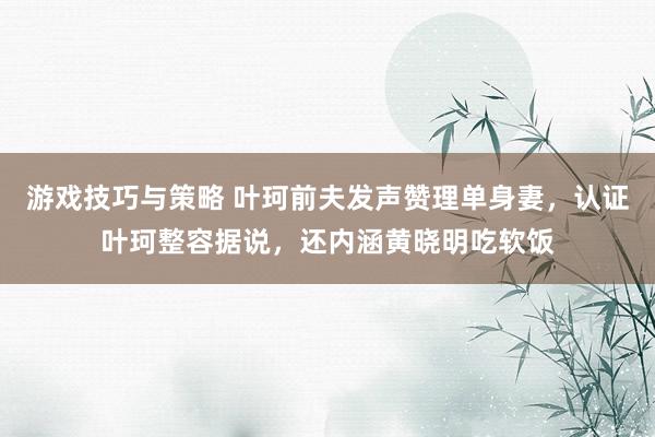 游戏技巧与策略 叶珂前夫发声赞理单身妻，认证叶珂整容据说，还内涵黄晓明吃软饭