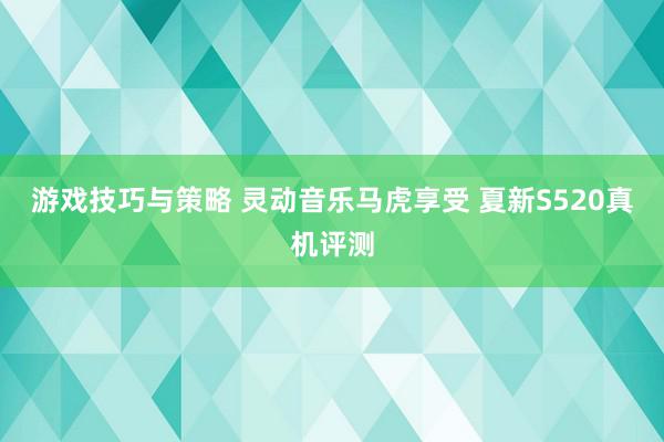 游戏技巧与策略 灵动音乐马虎享受 夏新S520真机评测