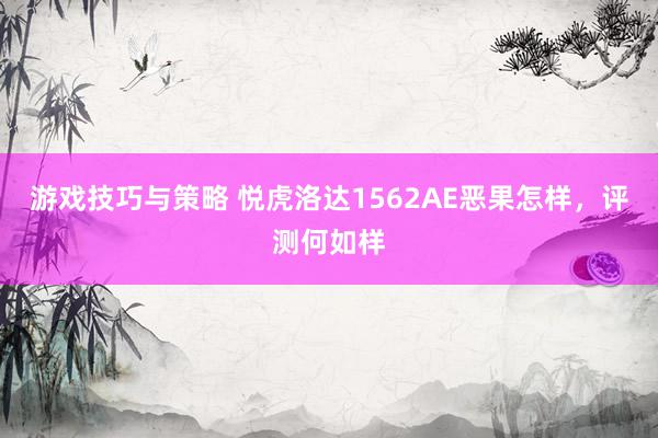 游戏技巧与策略 悦虎洛达1562AE恶果怎样，评测何如样