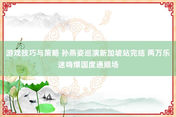 游戏技巧与策略 孙燕姿巡演新加坡站完结 两万乐迷嗨爆国度通顺场