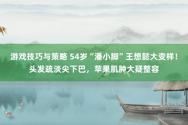 游戏技巧与策略 54岁“潘小脚”王想懿大变样！头发疏淡尖下巴，苹果肌肿大疑整容