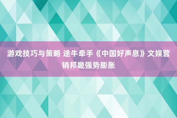 游戏技巧与策略 途牛牵手《中国好声息》文娱营销邦畿强势膨胀