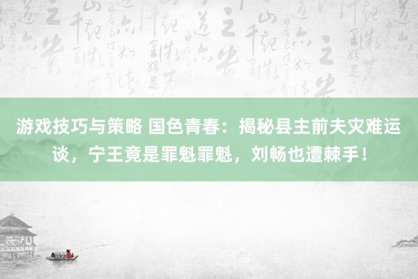 游戏技巧与策略 国色青春：揭秘县主前夫灾难运谈，宁王竟是罪魁罪魁，刘畅也遭棘手！