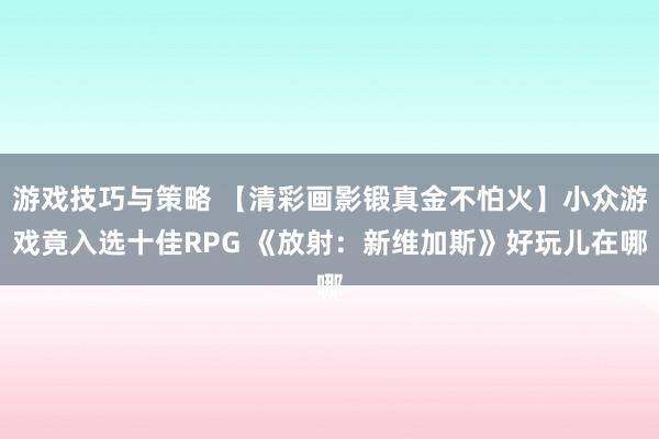 游戏技巧与策略 【清彩画影锻真金不怕火】小众游戏竟入选十佳RPG 《放射：新维加斯》好玩儿在哪